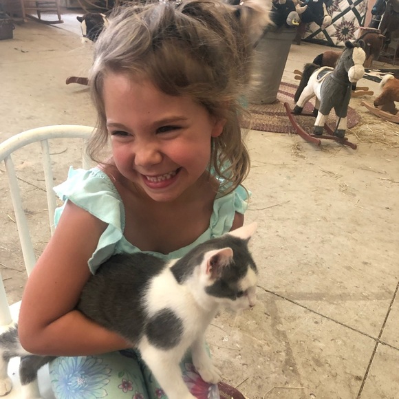 Meet your Posher, Samantha - Picture 8 of 8